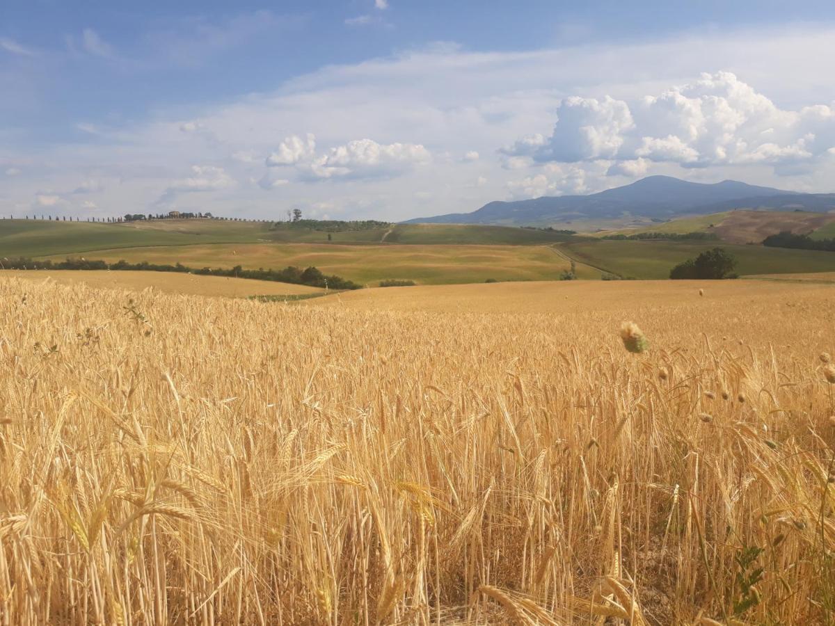 La Corte Antica Pienza Exteriér fotografie